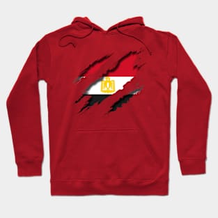 Egypt Shredding Hoodie